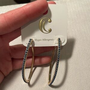 Gold and Blue Hoop Earrings